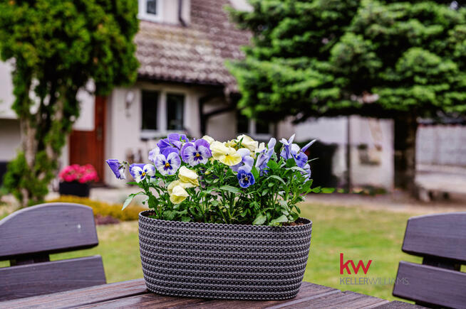 Dom Napachanie gm. Rokietnica, Poznańska