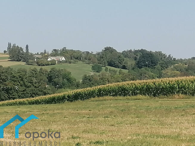 Działka przemysłowa Łączka gm. Dębowiec