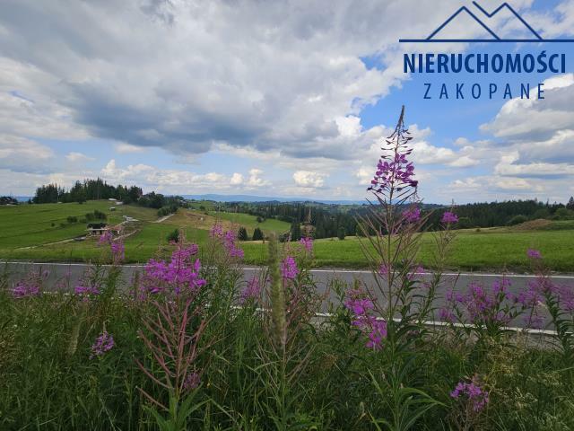 Dom Łosie gm. Bukowina Tatrzańska