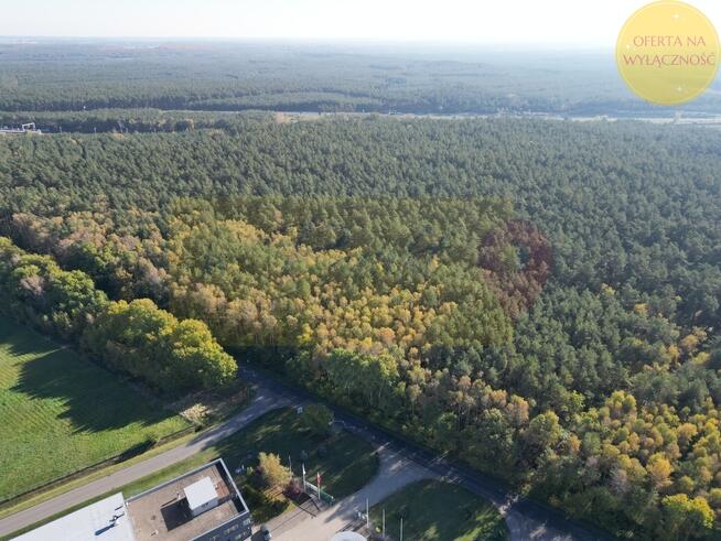 Działka w Goleniowski Parku Przemysłowym!