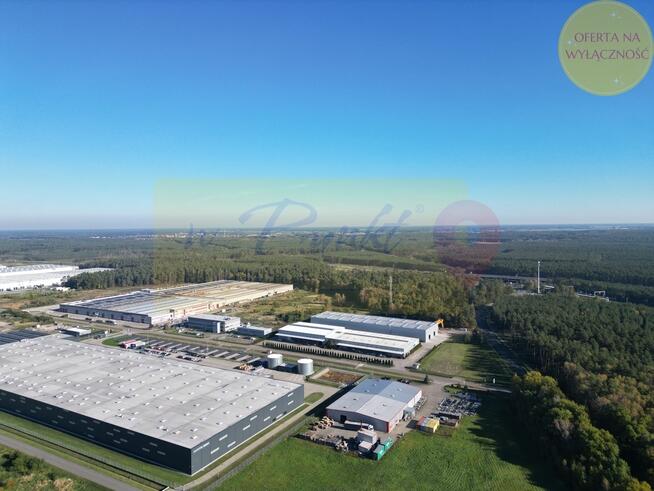 Działka w Goleniowski Parku Przemysłowym!