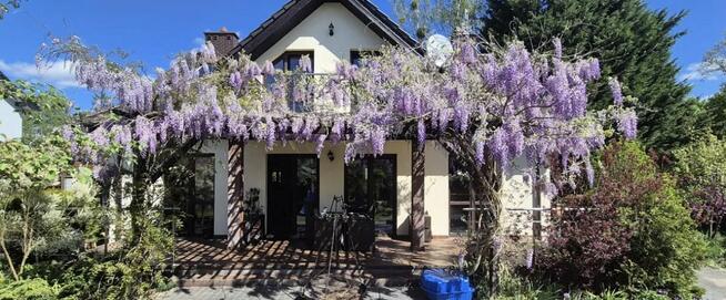 Dom Morzyczyn gm. Kobylanka, Sosnowa