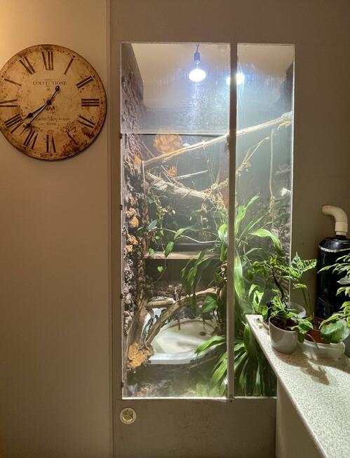 Dom Morzyczyn gm. Kobylanka, Sosnowa