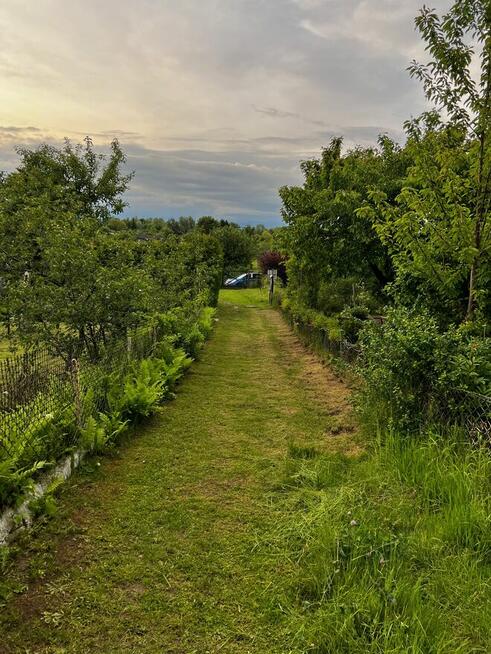 Działka ROD Elbląg