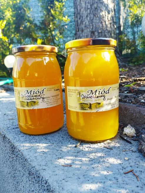 Sprzedam miód wierzbowo-klonowy
