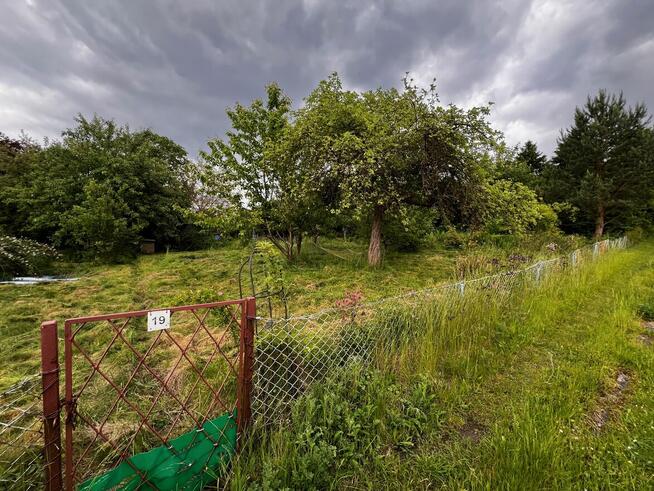 Działka ROD Elbląg