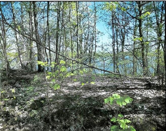 Działka z linią brzegową i WZ!