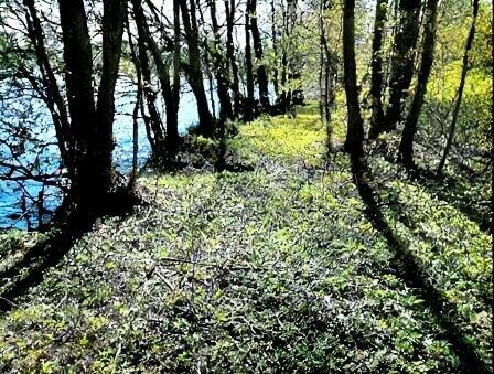 Działka z linią brzegową i WZ!