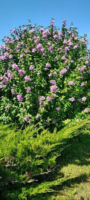 Niezwykla dzialka rod w super lokalizacji.