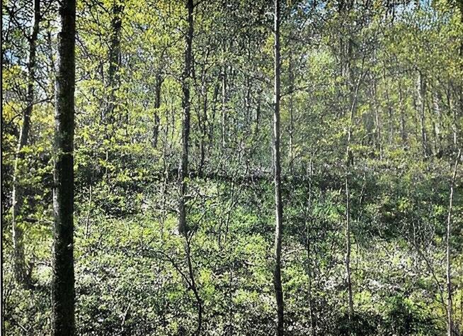 Działka z linią brzegową i WZ!