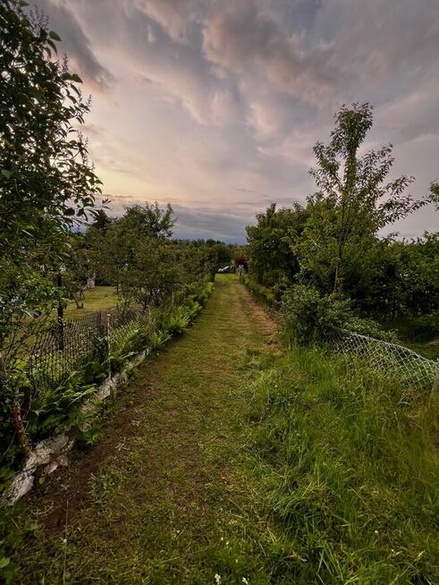 Działka ROD Elbląg