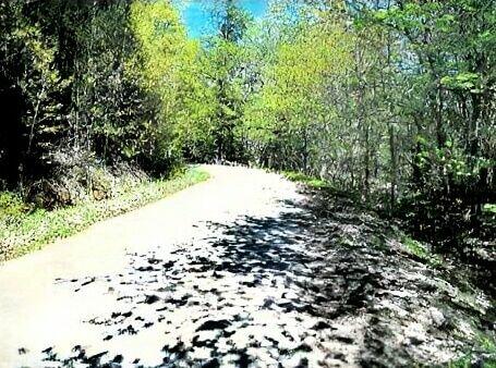 Działka z linią brzegową i WZ!