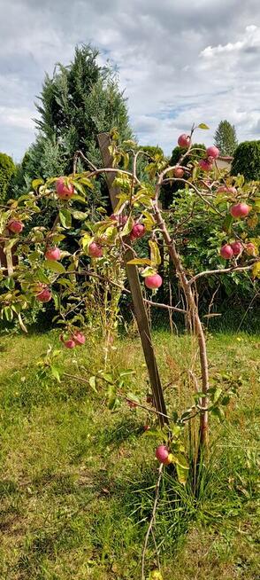 Niezwykla dzialka rod w super lokalizacji.