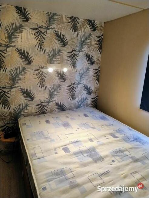 Sezonowy domek holenderski, żmożliwość organizacji transport