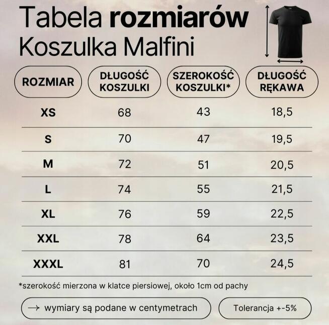 Koszulka t-shirt z nadrukiem hokej hockey