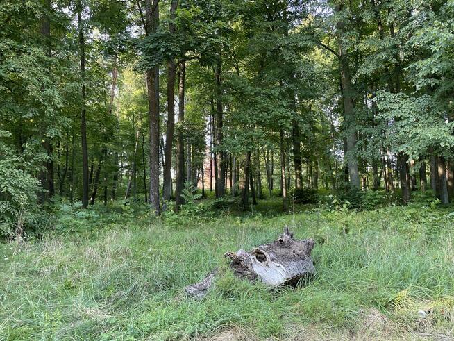 Dzialka inwestycyjna z linią brzegową!