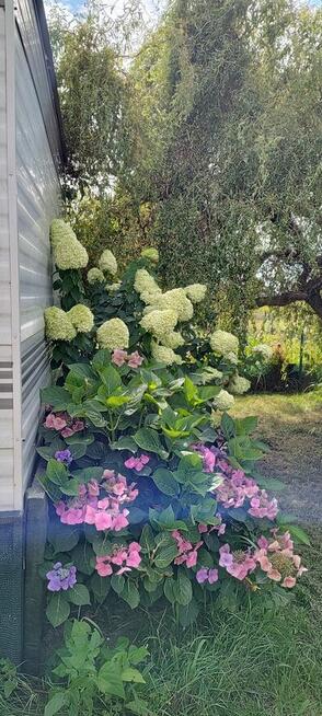 Niezwykla dzialka rod w super lokalizacji.