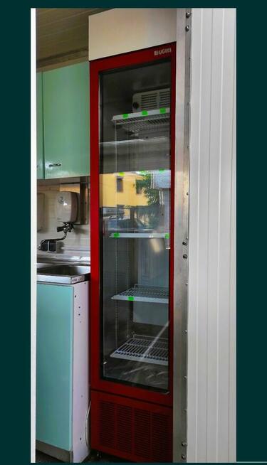 Przyczepa gastronomiczna lody tajskie