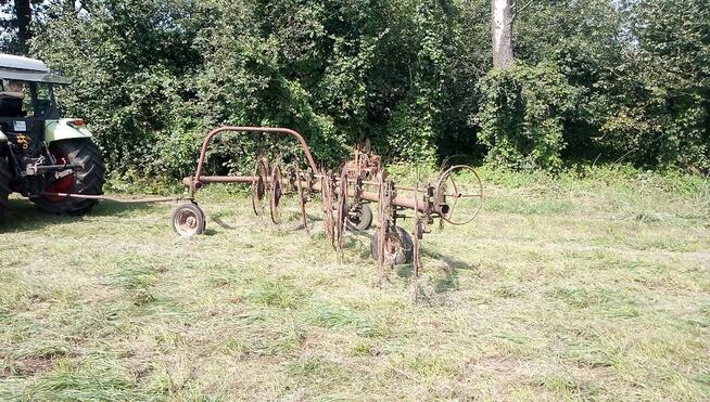 Zgrabiarka siedmiogwiazdowa