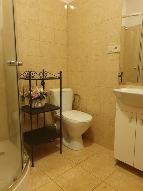 Pokój 1 os dla pracującego studenta