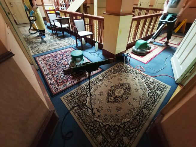 Skuteczne czyszczenie wykładzin i tapicerki meblowej Gdańsk