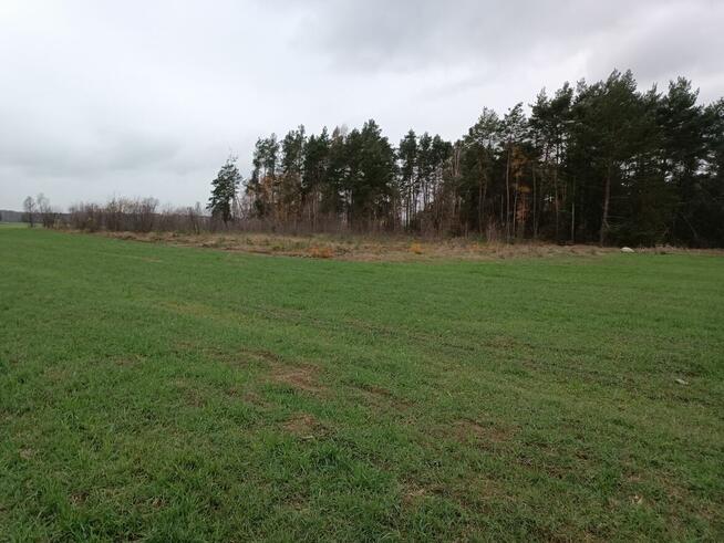 Grunty rolne znajdujące się miejscowości Filochy Piski Trosz