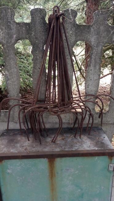 Zgrabiarka siedmiogwiazdowa