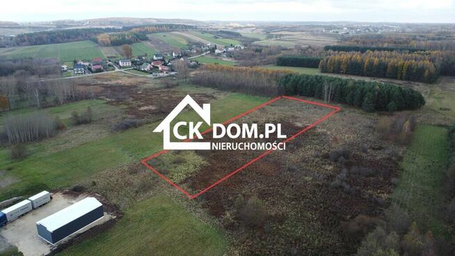 Działka 6500 m2 w Łukowej gm. Chęciny