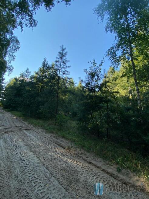 Działka budowlana Niemianowice gm. Gózd,