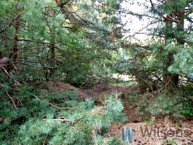 Działka budowlana Niemianowice gm. Gózd,