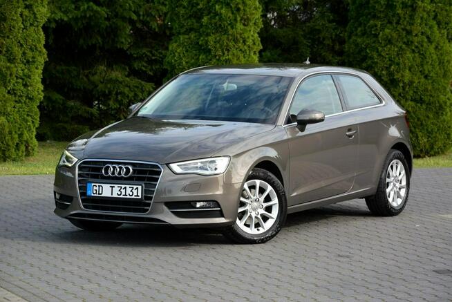 Audi A3 1.6TDI(105KM) bi-xenon Ledy Navi Parktronic Klimatronik Alu16"