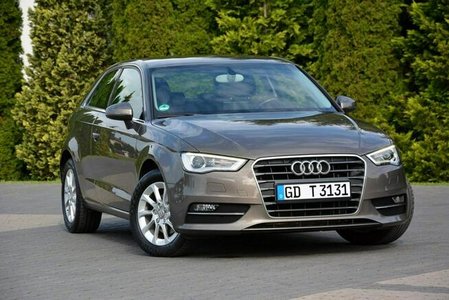 Audi A3 1.6TDI(105KM) bi-xenon Ledy Navi Parktronic Klimatronik Alu16"