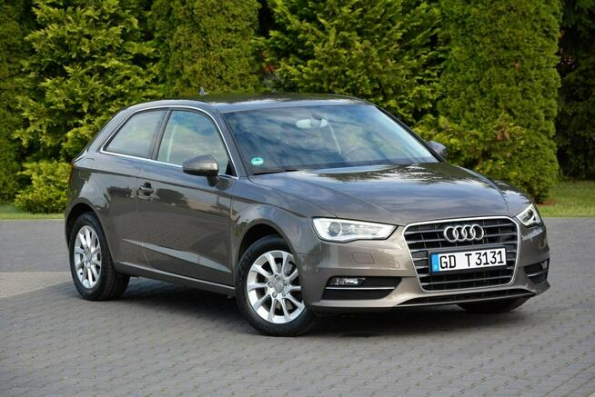 Audi A3 1.6TDI(105KM) bi-xenon Ledy Navi Parktronic Klimatronik Alu16"