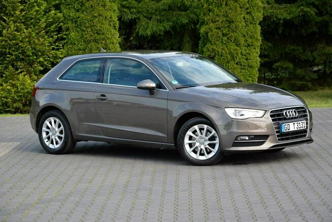 Audi A3 1.6TDI(105KM) bi-xenon Ledy Navi Parktronic Klimatronik Alu16"