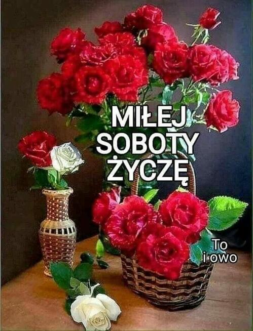 Tylko młoda kobieta