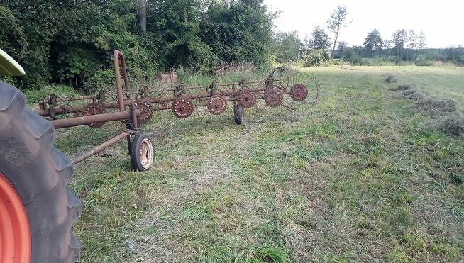 Zgrabiarka siedmiogwiazdowa