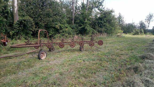 Zgrabiarka siedmiogwiazdowa