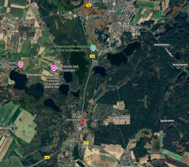 Działka budowlana / lokalizacja / Jezioro / Las - Skoki
