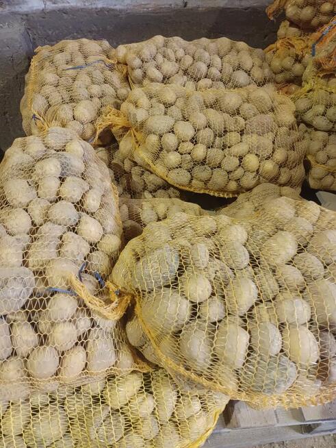 Sprzedam ziemniaki paszowe 20 gr kg