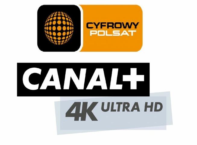 PROSIGNAL Naprawa Anten i Montaż Kamer Monitoringu