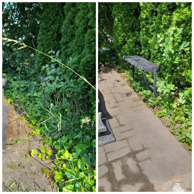 Uslugi porządkowania i czyszczenia nagrobków