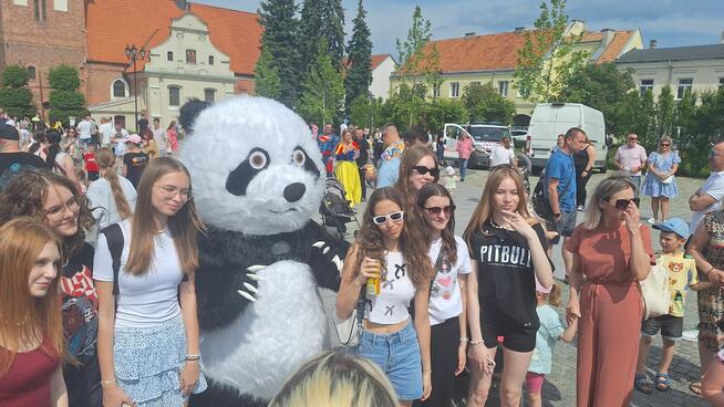 Biały Miś i Panda zapraszają do wspólnej zabawy.