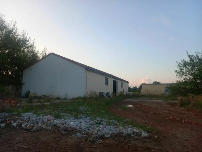 Hala usługowa Legnica wynajem