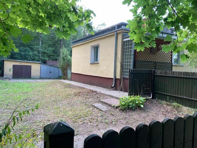 Sprzedam dom przy lesie w województwie podlaskim