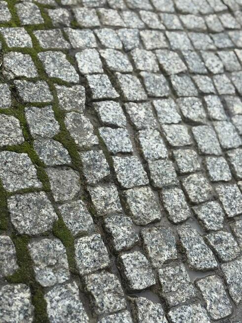 Mycie kostki, dachów, elewacji