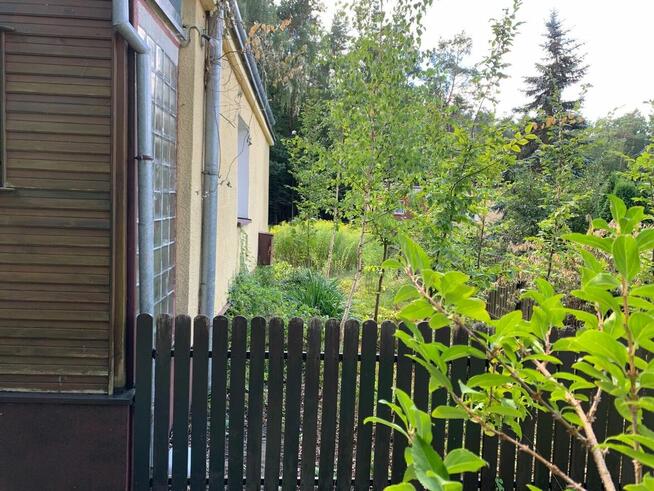 Sprzedam dom przy lesie w województwie podlaskim