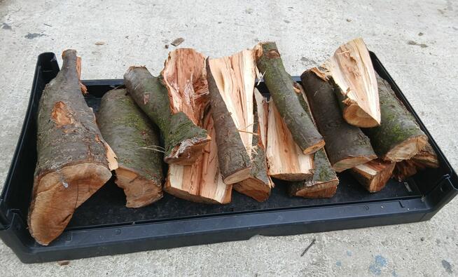 Drewno do wędzenia 100% śliwa objętość 40 litrów pojemnik