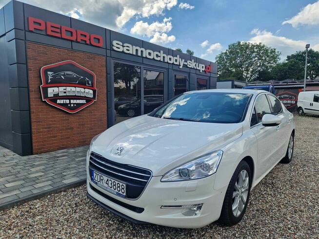 PEDRO – SKUP AUT PYRZYCE (2009r-2020r)