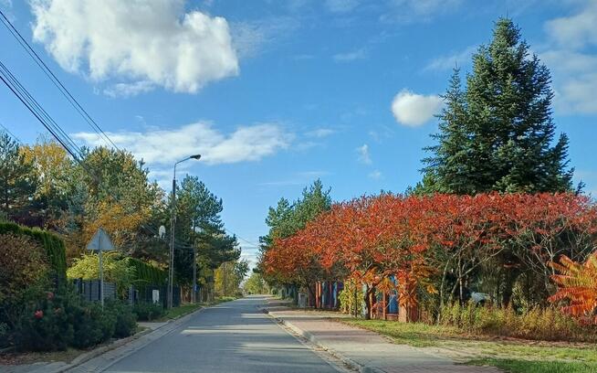 Działka 1050 m² – Rusiec – media, kostka, blisko S8