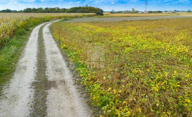 Działka inwestycyjna Szczurowa